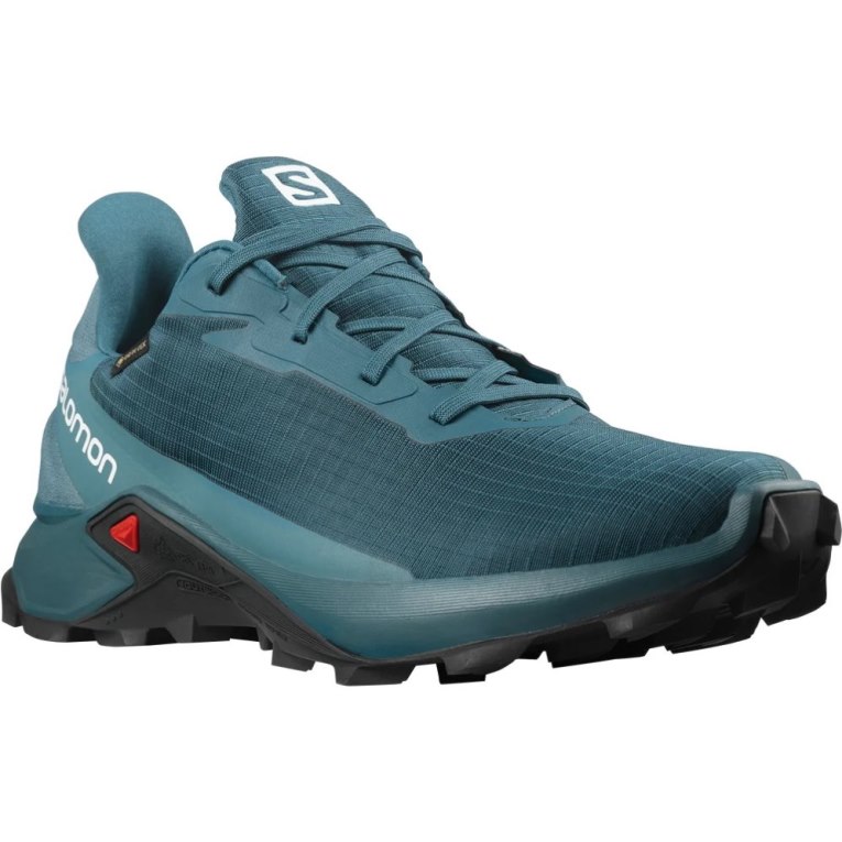 Sapatilhas Trail Running Salomon Alphacross 3 GTX Masculino Turquesa | PT N56034